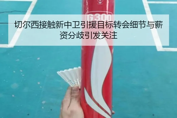 切尔西接触新中卫引援目标转会细节与薪资分歧引发关注